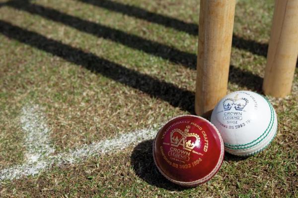 Cricket Balls & Training