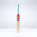 Ventus 1.0 300 Cricket Bat - Adult