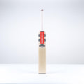 Ventus 1.1 300 Cricket Bat - Adult