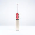 Ventus 1.1 Cameo Cricket Bat - Junior