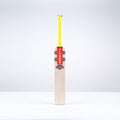 Stratos 1.1 5 Star Lite Cricket Bat - Junior