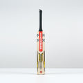 Victus 200 Cricket Bat - Adult