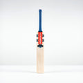 Havoc 1.0 Test Junior Cricket Bat