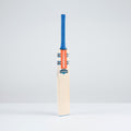 Havoc 1.0 GN550 Adult Cricket Bat