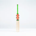 Havoc 1.3 GN350 Junior Cricket Bat