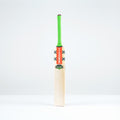 Havoc 1.3 GN350 Adult Cricket Bat
