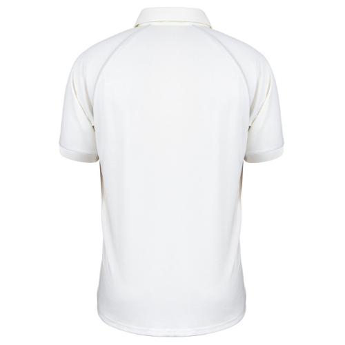 1495%5Cproducts%5C44782%5Ctemplate795.png