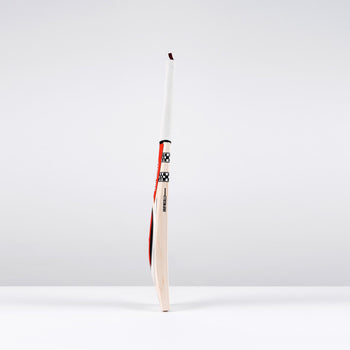 PowerScoop 500 Adult Cricket Bat