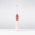 CABA26English Willow Bats Powerscoop Pro Bat Face Left
