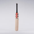 CABF22English Willow Bats Bat GN Select SH Front Angle