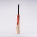 CABI22English Willow Bats Bat GN Academy SH, Back Angle