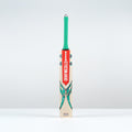 Ventus 1.0 200 Cricket Bat - Junior