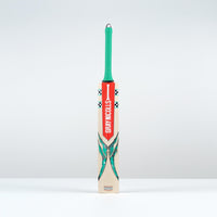 Ventus 1.0 200 Cricket Bat - Junior