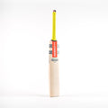 CAFA24English Willow Bats Tempesta Gen 1.0 Pro Perf Bat, Face Right