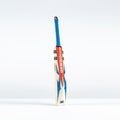 Havoc 1.0 Pro Adult Cricket Bat