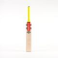 CAFD24English Willow Bats Tempesta Gen 1.0 5 Star Bat, Face