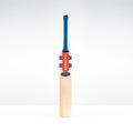 Havoc 1.0 Pro Adult Cricket Bat