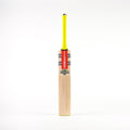 CAFG24English Willow Bats Tempesta Gen 1.0 300 Bat, Face
