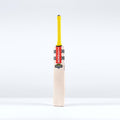 CAGA26English Willow Bats Havoc HB317 Pro Edition Bat Face Left