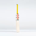 CAGA26English Willow Bats Havoc HB317 Pro Edition Bat, Face Right
