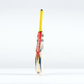 CAGA26English Willow Bats Havoc HB317 Pro Edition Bat, Rear Left