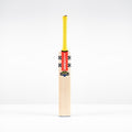 Havoc HB317 Test Junior Cricket Bat