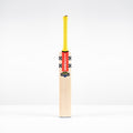 Havoc HB317 Test Junior Cricket Bat