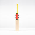 CAGC26English Willow Bats Havoc HB317 Test Face
