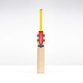 Havoc HB317 GN550 Junior Cricket Bat