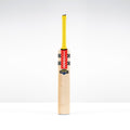 CAGE26English Willow Bats Havoc HB317 GN550 Face