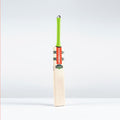 Havoc 1.3 Pro Adult Cricket Bat