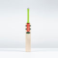 Havoc 1.3 Pro Adult Cricket Bat