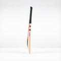 CAIE26English Willow Bats Imperia 600 Giant, Profile