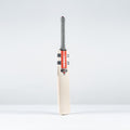 CALA26English Willow Bats Longbow Pro Bat, Face Right