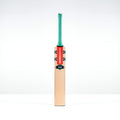 GEM 3.0 Power Infant Cricket Bat