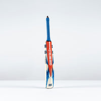 CBAB26Kashmir Willow Bats Havoc 1.0 Blast 4 Bat, Rear Right
