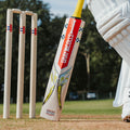 Ventus 1.2 Players Cricket Bat - Adult