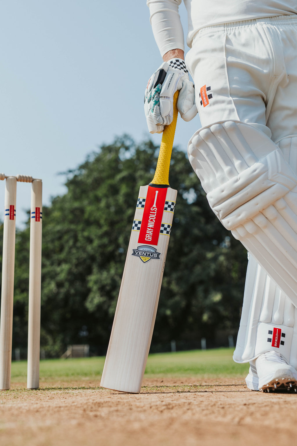 Ventus 1.2 Players Cricket Bat - Adult