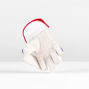 CWAH25Wicketkeeping Classic Academy Wicket Keeping Glove, Palm