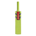 Cloud Catcher Cricket Bat