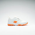 AeroCage X10 Shoe